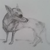 Leão de Judá: Desenho expressivo com carvão . Artes plásticas, Desenho, Desenho de retrato e Ilustração naturalista projeto de Lourival Piligra - 21.07.2023