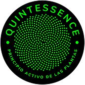 Logotipo Quintessence . Br, ing & Identit project by Natalia Gigliotti - 07.31.2023