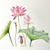 Thank you for a friend!. Un progetto di Illustrazione tradizionale e Illustrazione botanica di Bev Dancer - 31.07.2023