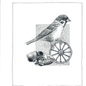 My project for course: Realistic Illustration of Birds with Imaginative Elements. Un progetto di Disegno a matita, Disegno, Illustrazione con inchiostro e Illustrazione naturalistica di Ingrid Wolf-Hattinger - 31.07.2023