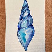 Conquiliología. Un proyecto de Pintura, Pintura a la acuarela, Ilustración tradicional, Bellas Artes, Consultoría creativa y Dibujo de Carmen Peinado - 31.07.2023
