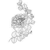 Mój projekt z kursu: Tatuaż botaniczny w technice „dotwork”. Traditional illustration, Tattoo Design, and Botanical Illustration project by Dominika Jaskółka - 08.01.2023