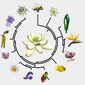 索尔三世 *. Fashion Design, Traditional illustration, and Fashion Illustration	 project by Oxi Wh. - 07.07.2023