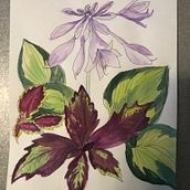 My project for course: Botanical Sketchbooking: A Meditative Approach. Un proyecto de Ilustración tradicional, Bocetado, Dibujo, Pintura a la acuarela, Ilustración botánica y Sketchbook de carlsoncollins89 - 29.07.2023