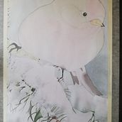Mi proyecto del curso: Ilustración científica de animales en acuarela. Un progetto di Illustrazione tradizionale, Pittura ad acquerello, Disegno realistico e Illustrazione naturalistica di Liane Heraldin Rodriguez Daza - 02.08.2023