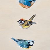 My project for course: Gouache: Paint Natural Worlds from Imagination. Character Design, Painting, Children's Illustration, and Gouache Painting project by Daniela Haubertová - 08.01.2023