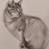 My project for course: Expressive Drawing with Charcoal. Een project van  Beeldende kunst,  Tekening y Naturalistische illustratie van kristofluysmans - 03.08.2023