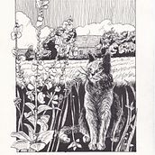 Mijn project van de cursus: Illustratie met een kroontjespen en inkt: leg de natuur vast. Projekt z dziedziny Sketching,  R, sunek,  R, sunek art, st, czn, Sketchbook,  R, sunek atramentem, Ilustracja naturalist i czna użytkownika Ans Breetveld - 03.08.2023