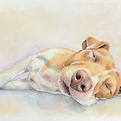 Some examples of my doodles - some are commissions, some just for fun!. Un progetto di Illustrazione tradizionale, Artigianato, Belle arti, Pittura e Architettura di Samantha Watson - 03.08.2023