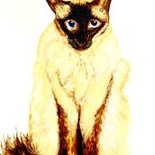 Mi proyecto del curso: Retratos expresivos de animales en acuarela. Projekt z dziedziny Trad, c, jna ilustracja, R, sunek realist, czn, Ilustracja naturalist, czna i Malowanie akwarelą użytkownika lilia_tamayo - 23.07.2023