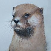 Mi proyecto del curso: Técnicas experimentales de acuarela para principiantes. Traditional illustration, Fine Arts, Watercolor Painting, and Naturalistic Illustration project by katherine_021 - 08.04.2023