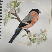 Watercolor with Filigree and Metallic Details. Un progetto di Pittura ad acquerello di Stevie Shoop-Worrall - 05.08.2023