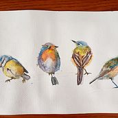 Il mio progetto del corso: Acquerello artistico per illustrazione di animali: gli uccelli. Traditional illustration, Watercolor Painting, Realistic Drawing, and Naturalistic Illustration project by Stefania Salaroli - 08.06.2023
