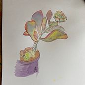 My project for course: Botanical Sketchbooking: A Meditative Approach. Traditional illustration, Sketching, Drawing, Watercolor Painting, Botanical Illustration, and Sketchbook project by Lynn Pulfer - 08.06.2023