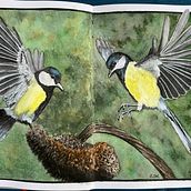 Mon projet du cours : Techniques artistiques d'aquarelle pour illustrer les oiseaux. Traditional illustration, Watercolor Painting, Realistic Drawing, and Naturalistic Illustration project by Gxeuh - 08.06.2023