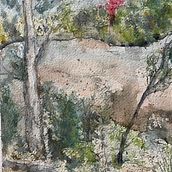 Bouganvillea across the River. Fine Arts, Painting, and Watercolor Painting project by Laurel Moore - 08.07.2023