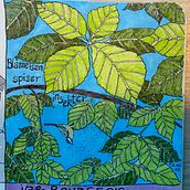 My project for course: Illustrated Life Journal: A Daily Mindful Practice. Un progetto di Belle arti, Bozzetti, Creatività, Disegno, Sketchbook e Illustrazione tradizionale di majo_red - 07.08.2023