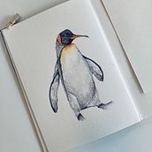 My project for Naturalist Bird  Watercolor Illustration: The King penguin by Julia Viterbo. Traditional illustration, Watercolor Painting, Realistic Drawing, and Naturalistic Illustration project by Julia Viterbo - 08.07.2023