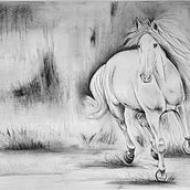 Mi proyecto del curso: Ilustración de animales con carboncillo y tinta. Fine Arts, Drawing, Ink Illustration, and Naturalistic Illustration project by Liliana Medici - 08.07.2023