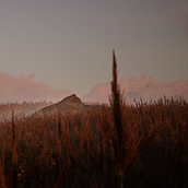 Primavera al Anochecer Ein Projekt aus dem Bereich VFX, Kunstleitung, 3D und 3-D-Animation von Francisco González Casas - 23.04.2023