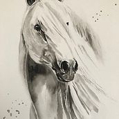 My project for course: Expressive Animal Portraits in Watercolor. Ilustração tradicional, Pintura em aquarela, Desenho realista e Ilustração naturalista projeto de carolynn_ryan - 08.08.2023