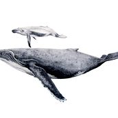 Jorobada y cria. Traditional illustration, and Fine Arts project by Daniela Tamara Palominos Gonzalez - 08.09.2023