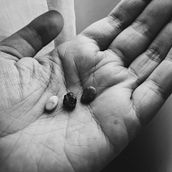 Travel pebbles. Writing, Creativit, Stor, telling, Narrative, and Creative Writing project by Annie Wood - 08.09.2023
