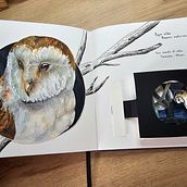 Mi proyecto del curso: Libros pop-up interactivos: crea mundos de papel. Arts, Crafts, Editorial Design, Paper Craft, Bookbinding, and Creating with Kids project by Fridda Lara Zelada - 08.09.2023