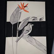 Meu projeto do curso: Ilustração realista de aves com elementos imaginativos. Pencil Drawing, Drawing, Ink Illustration, and Naturalistic Illustration project by Sara Noite - 08.06.2023
