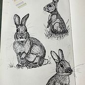 My project for course: Daily Sketching for Creative Inspiration Ein Projekt aus dem Bereich Traditionelle Illustration, Skizzenentwurf, Kreativität, Zeichnung und Sketchbook von Marianne Eha - 10.08.2023