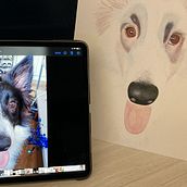 Mi proyecto del curso: Retratos de Mascotas en Lápices de Colores. Un proyecto de Ilustración tradicional e Ilustración naturalista				 de Jennifer Spencer - 10.08.2023