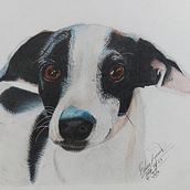 Mi proyecto del curso: Retratos de Mascotas en Lápices de Colores. Traditional illustration, and Naturalistic Illustration project by Edna Lozano - 08.11.2023