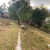 Casa en la montaña. Un proyecto de Paisajismo de Rafael DIAZ HERNANDEZ - 11.08.2023