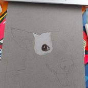 Retrato de mascotas con lapices de colores. Colored Pencil Drawing project by Edna Lozano - 08.11.2023
