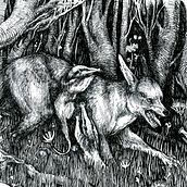 Bestiario "Fauna Futura". Un progetto di Illustrazione tradizionale, Belle arti e Disegno di Elena Ibáñez - 11.08.2023