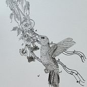 My project for course: Realistic Illustration of Birds with Imaginative Elements. Pencil Drawing, Drawing, Ink Illustration, and Naturalistic Illustration project by Susan Evans - 08.10.2023