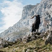  Landscape and Nature Photography. Photograph, Outdoor Photograph, Instagram Photograph, Documentar, Photograph, and Photographic Composition project by Tania Roque - 08.12.2023