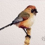 Watercolor Birds. Watercolor Painting, and Fine Arts project by hellfast - 08.12.2023