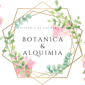 Botánica & Alquimia. Arts, Crafts, Product Design, Social Media, and Creativit project by Miriam Colomo Gil - 06.04.2022