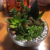 My arrangements. Artesanato, Criatividade, e Design floral e vegetal projeto de Laura Silva - 14.08.2023