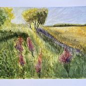 Catching the sun. Fine Arts, Painting, and Watercolor Painting project by Jean-Paul de Poorter - 08.14.2023