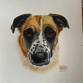 Dalila. Watercolor portrait on fabriano paper. Un proyecto de Pintura a la acuarela de Marcela Pacheco Weber - 14.08.2023