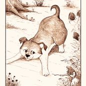My project for course: Dip Pen and Ink Illustration: Capturing The Natural World. Sketching, Drawing, Artistic Drawing, Sketchbook, Ink Illustration, Naturalistic Illustration, and Traditional illustration project by Karla Stone - 08.15.2023
