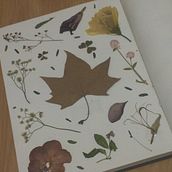 Meu projeto do curso: Técnicas básicas para prensar flores e plantas. Un proyecto de Artesanía, Bellas Artes, Collage, DIY, Diseño floral y vegetal de Isabel - 16.08.2023