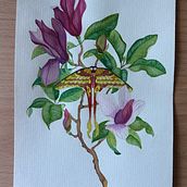Mijn project van de cursus: Realistisch aquarelleren voor botanische composities. Traditional illustration, Painting, Drawing, Watercolor Painting, and Botanical Illustration project by evaplevier - 08.16.2023