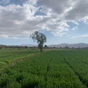 Primeros pasos Ein Projekt aus dem Bereich Zeichnen mit Buntstiften und Fotografie von Tutín Lezano - 17.08.2023