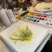 Watercolor Wildflowers. Un proyecto de Pintura a la acuarela, Pintura e Ilustración botánica de Kaitlyn - 10.08.2023