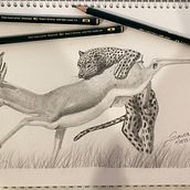 Mi proyecto del curso: Dibujo naturalista de animales con grafito. Traditional illustration, Pencil Drawing, Drawing, and Naturalistic Illustration project by Juan José Zapata - 08.17.2023