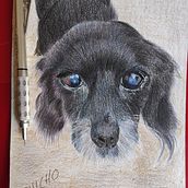 Mi proyecto del curso: Retratos de Mascotas en Lápices de Colores. Een project van Traditionele illustratie y Naturalistische illustratie van malagoncarmen5 - 17.08.2023