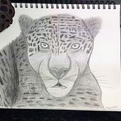 My project for course: Naturalistic Animal Drawing with Graphite Pencil. Un progetto di Illustrazione tradizionale, Disegno a matita, Disegno e Illustrazione naturalistica di Shell D - 13.08.2023